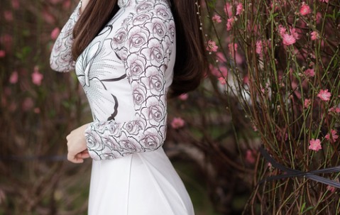 合肥捐卵怎么找正规机构，附捐卵机构名单一览！