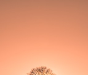 最快什么时候可以知道宝宝健康（什么时候可以知道宝宝是否健康）